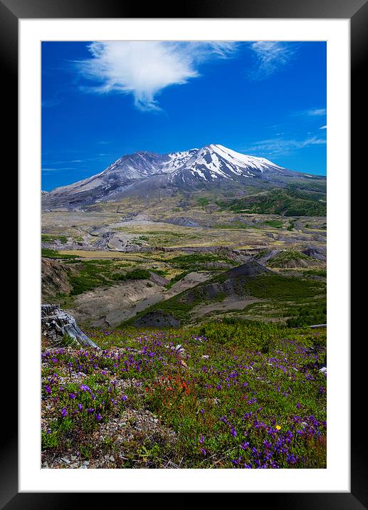 St. Helens Crater Framed Mounted Print by Mike Dawson