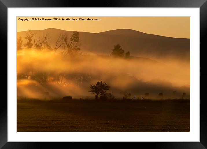 Golden Morning Framed Mounted Print by Mike Dawson
