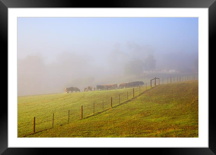 Hidden in the Mist Framed Mounted Print by Mike Dawson