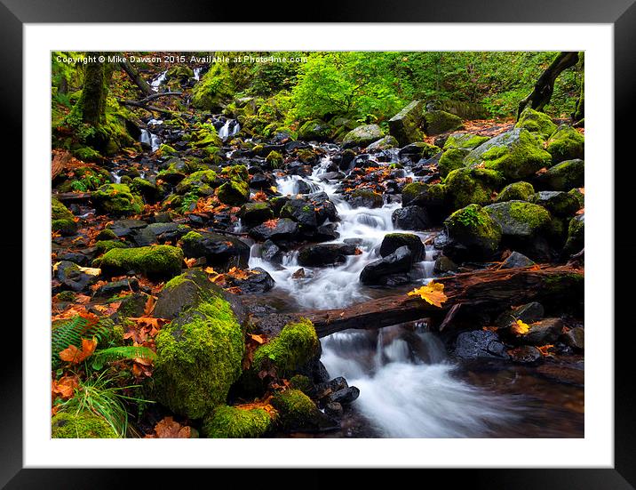 Balance  of Autumn Framed Mounted Print by Mike Dawson