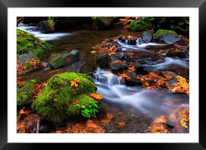 Autumn Leaves Scattered Framed Mounted Print by Mike Dawson