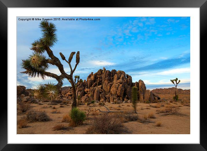 Joshua Tree Cloud Explosion Framed Mounted Print by Mike Dawson