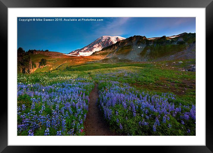 Majestic Trail Framed Mounted Print by Mike Dawson