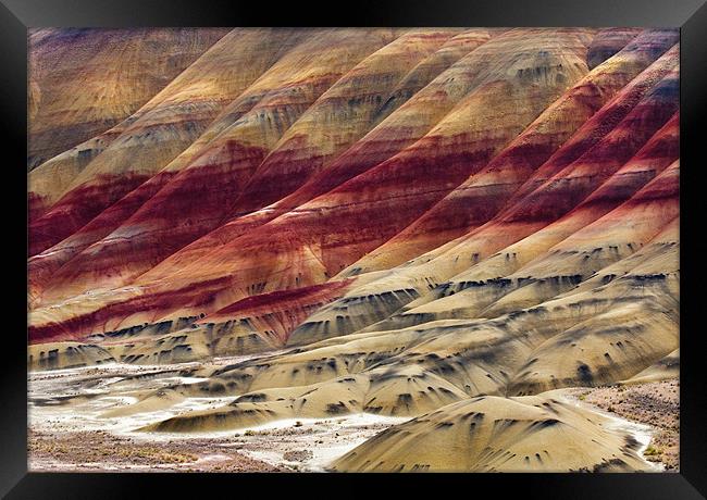 Painted Hills Contour Framed Print by Mike Dawson