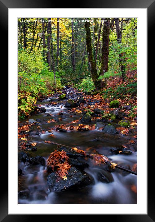 Autumn Breeze Framed Mounted Print by Mike Dawson