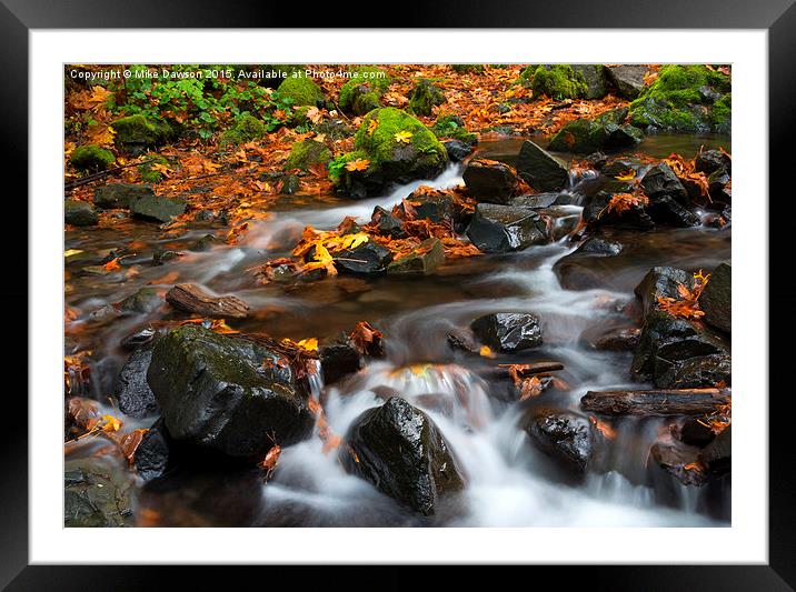 Scattered Seasons Framed Mounted Print by Mike Dawson
