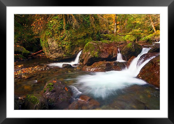 Autumn PAst Framed Mounted Print by Mike Dawson