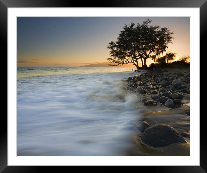 PAradise Gold Framed Mounted Print by Mike Dawson