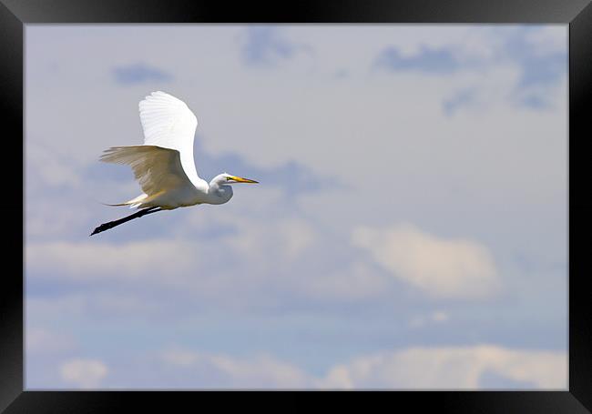 Take to the Air Framed Print by Mike Dawson