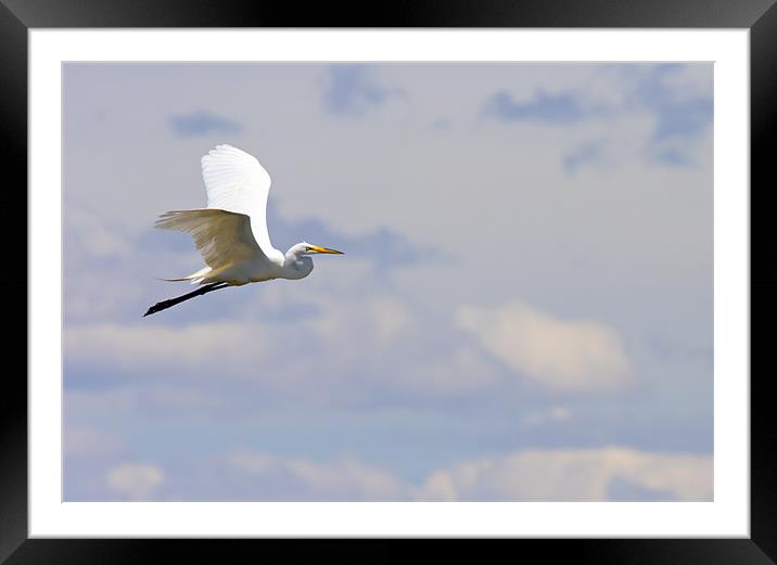 Take to the Air Framed Mounted Print by Mike Dawson