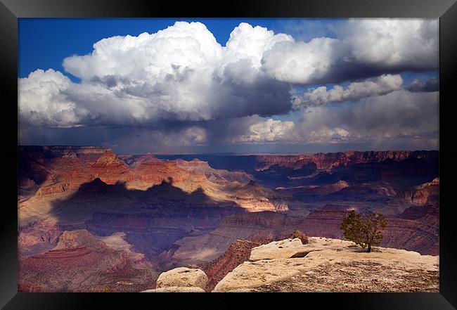 Rain over the Grand Canyon Framed Print by Mike Dawson