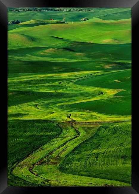 Ribbons of Green Framed Print by Mike Dawson