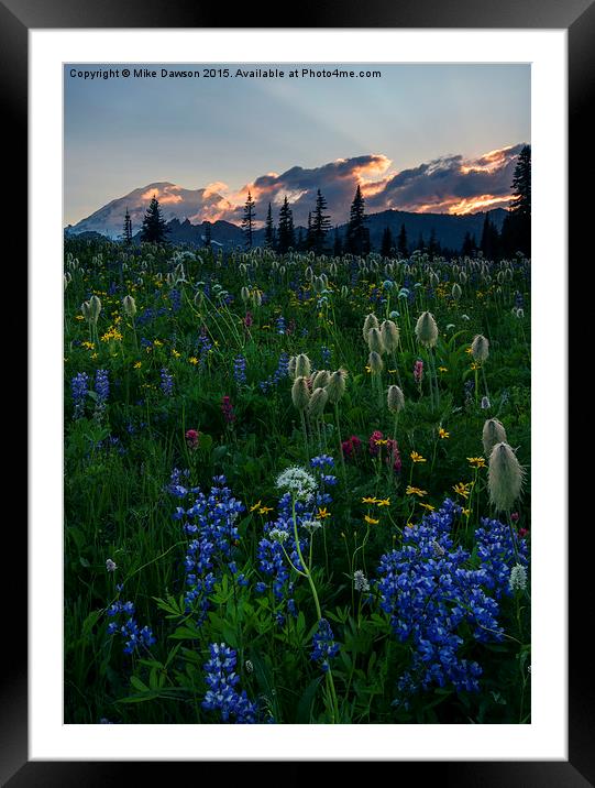 Fields of Paradise Framed Mounted Print by Mike Dawson