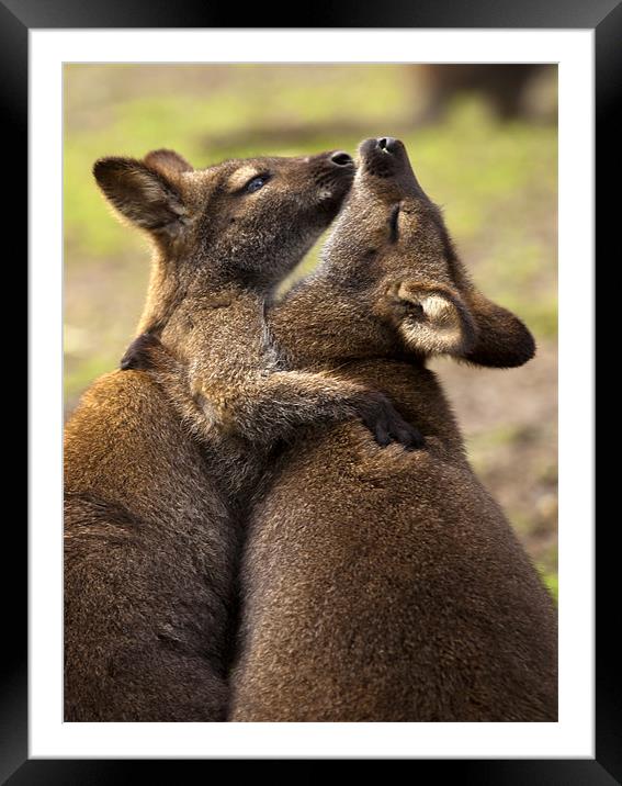 Hugs Framed Mounted Print by Mike Dawson