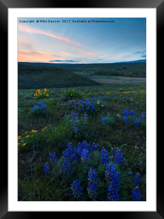 Cowiche Wildflower Sunset Framed Mounted Print by Mike Dawson