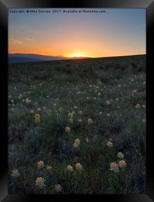 Sunset and Clover Framed Print by Mike Dawson