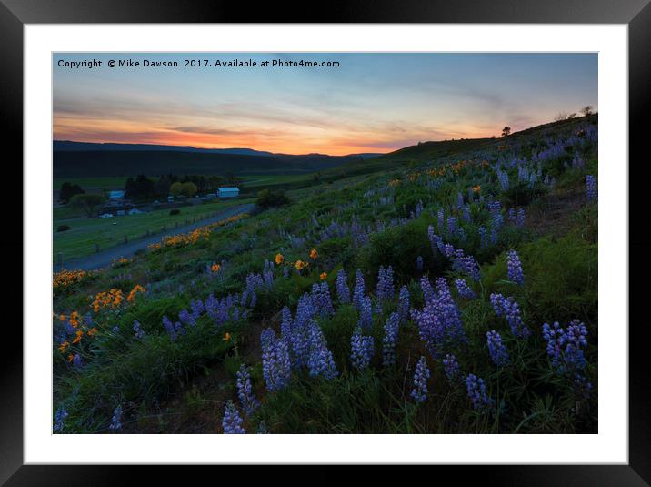 Country Meadow Sunset Framed Mounted Print by Mike Dawson