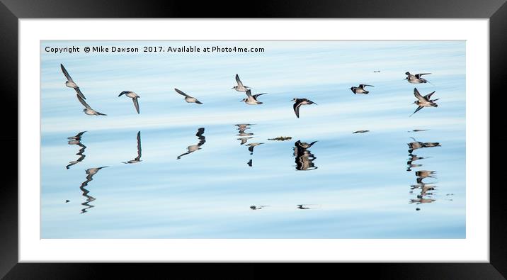 Flight Mirrored Framed Mounted Print by Mike Dawson