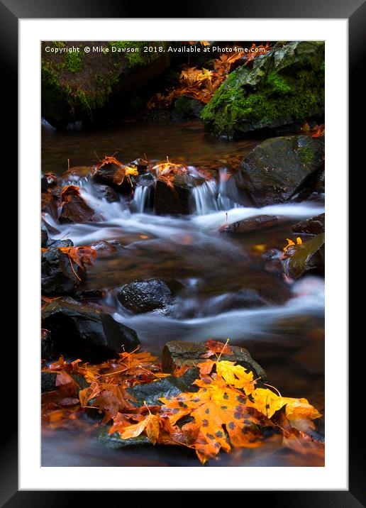 Cascades of Gold Framed Mounted Print by Mike Dawson