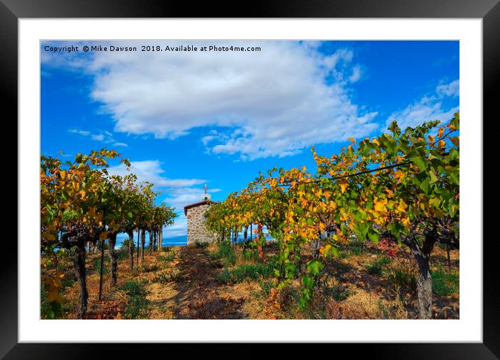 Vineyard Temple Framed Mounted Print by Mike Dawson