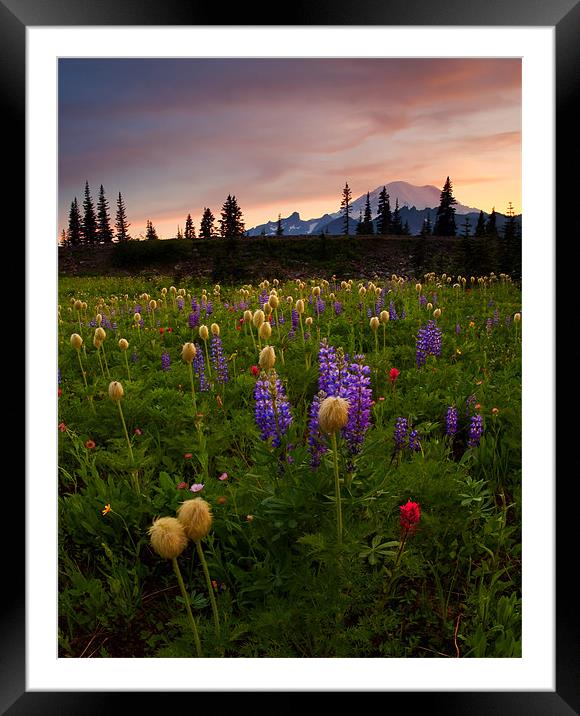 Red Sky Meadow Framed Mounted Print by Mike Dawson