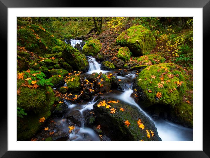 Autumn Water Ladder Framed Mounted Print by Mike Dawson