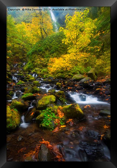 Surrounded by Fall Color Framed Print by Mike Dawson