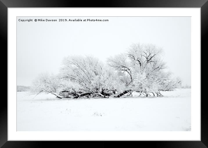 Frosted White Framed Mounted Print by Mike Dawson