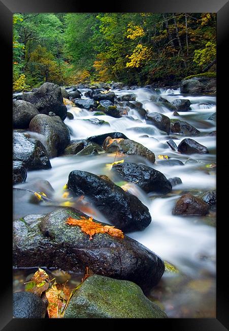 Flow of Autumn Framed Print by Mike Dawson