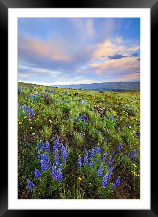 High Desert Spring Framed Mounted Print by Mike Dawson