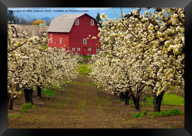 Red Barn Spring Framed Print by Mike Dawson