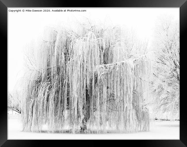Frozen Willow Framed Print by Mike Dawson