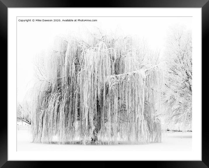 Frozen Willow Framed Mounted Print by Mike Dawson