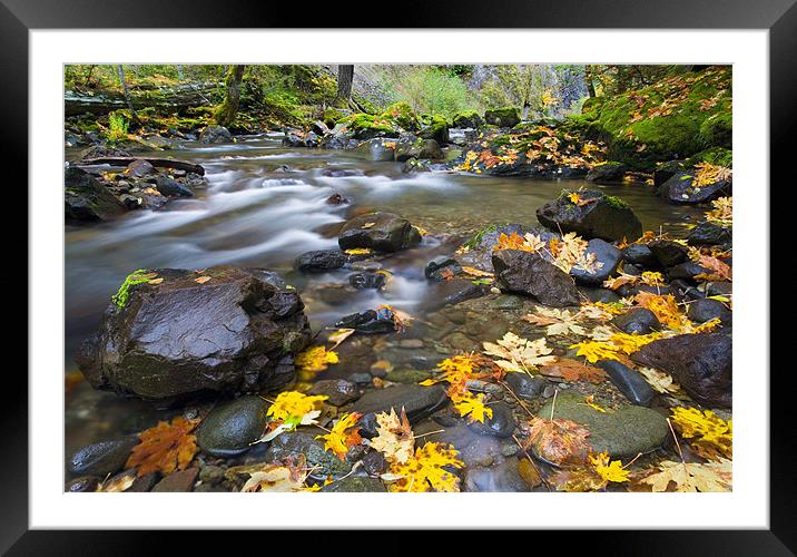 Scattered Color  Framed Mounted Print by Mike Dawson