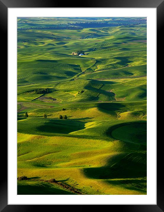 Palouse Morning Framed Mounted Print by Mike Dawson