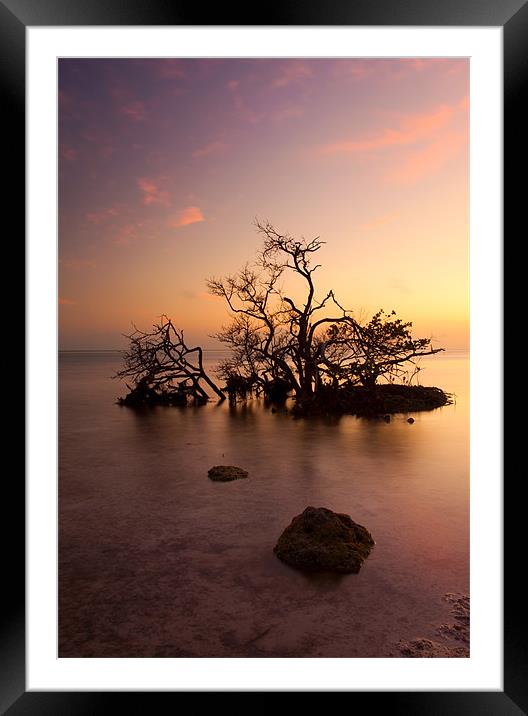 Florida Keys Sunset Framed Mounted Print by Mike Dawson