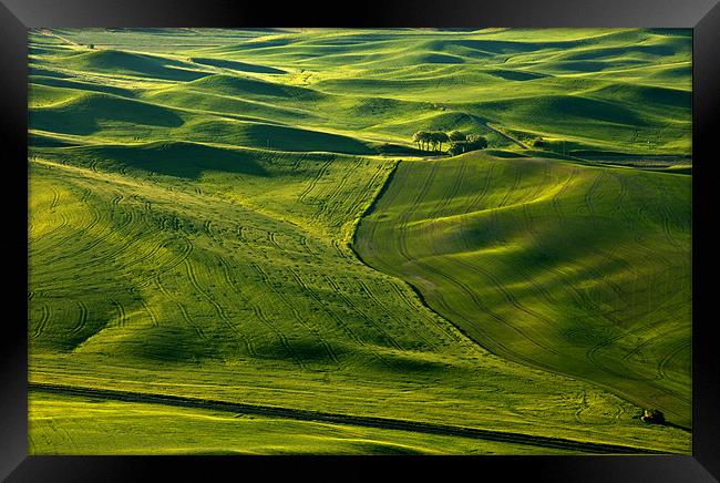 Palouse Patterns Framed Print by Mike Dawson
