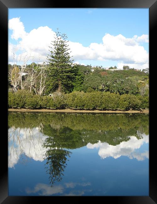 Bay Of Islands (New Zealand) Framed Print by Lisa Tayler