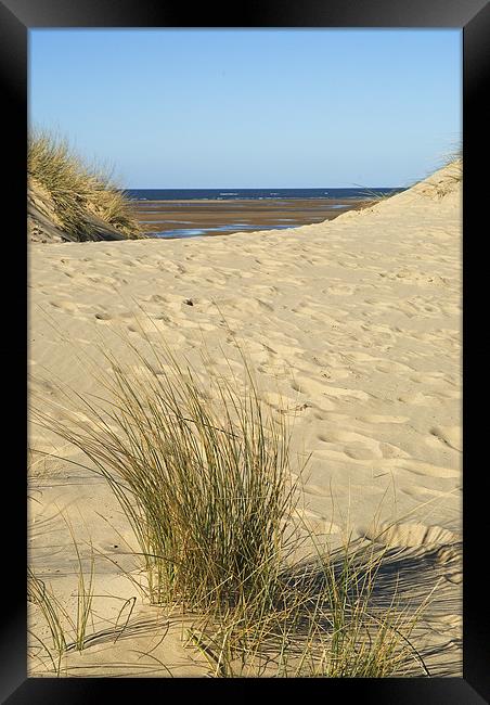the Grasses and Sands of Wells Beach Framed Print by Charlie Gray LRPS