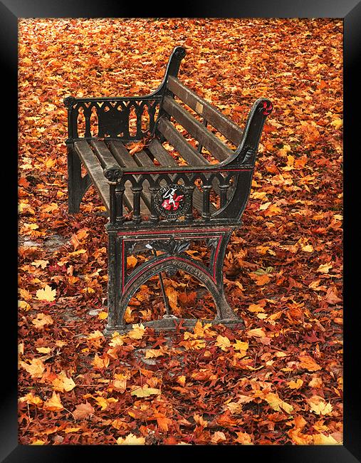 Park bench on a carpet of autumn leaves Framed Print by Charlie Gray LRPS