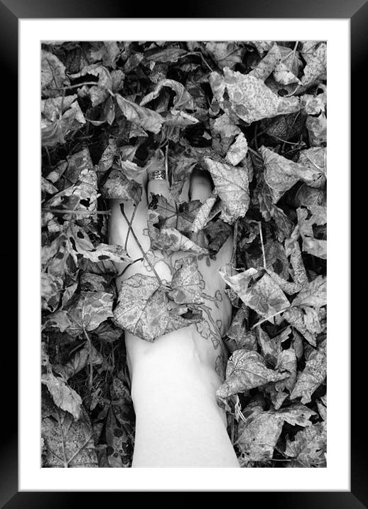 toes and leaves Framed Mounted Print by rachael hardie