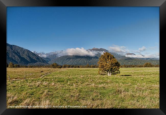 New Zealand Roadttrip Framed Print by Andreas Hartmann