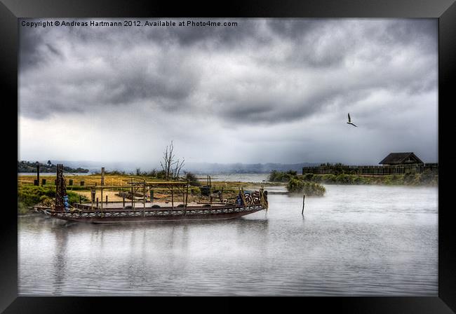 Maori Canoe Framed Print by Andreas Hartmann