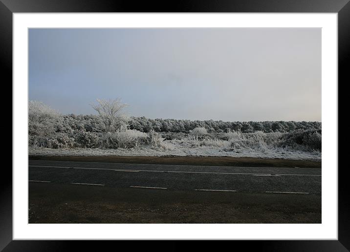 Winter road Framed Mounted Print by Dave Wyllie