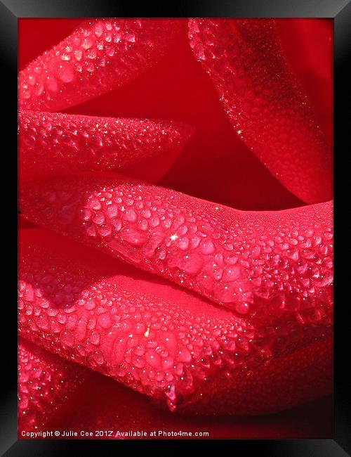 Rose Petals Framed Print by Julie Coe