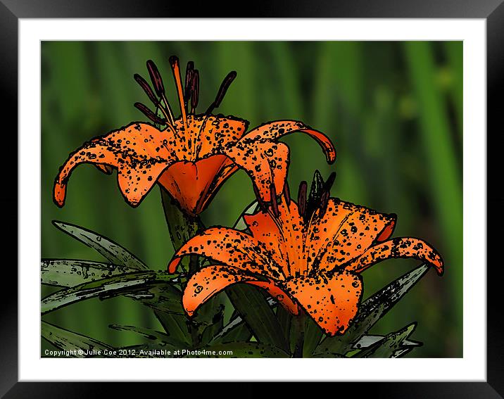Lilies - Cartoon Style Framed Mounted Print by Julie Coe