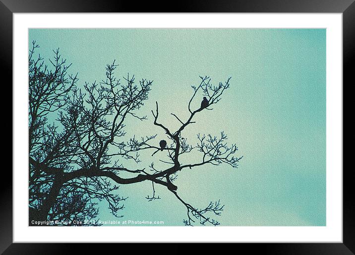 Pigeon Silhouette Light Framed Mounted Print by Julie Coe