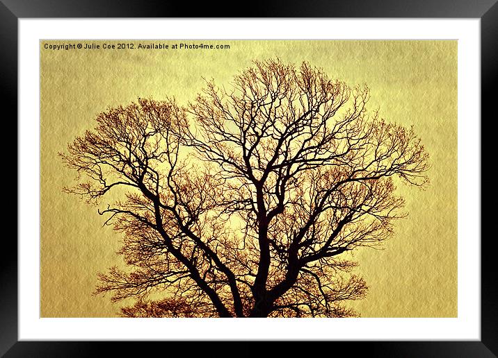 Golden Tree Framed Mounted Print by Julie Coe