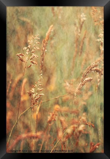 Meadow Grasses Framed Print by Julie Coe