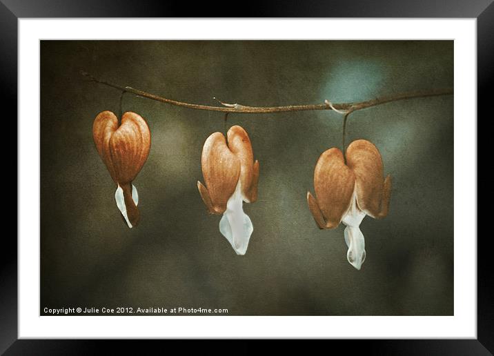 Drained Hearts Framed Mounted Print by Julie Coe